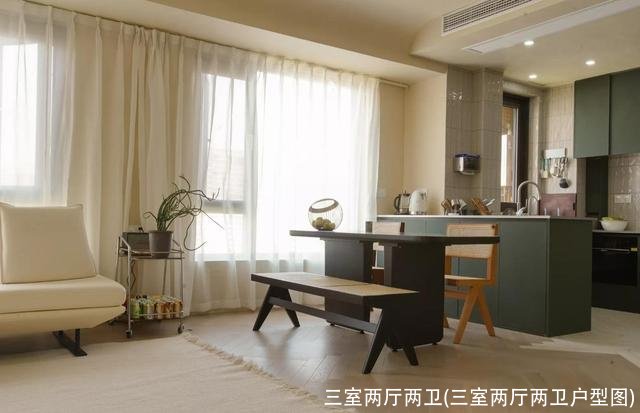 三室两厅两卫(三室两厅两卫户型图)