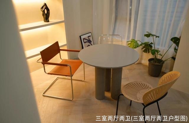 三室两厅两卫(三室两厅两卫户型图)