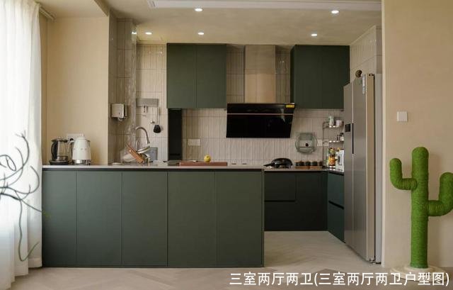 三室两厅两卫(三室两厅两卫户型图)