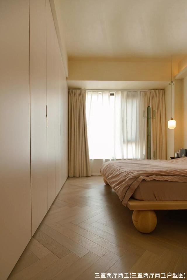 三室两厅两卫(三室两厅两卫户型图)