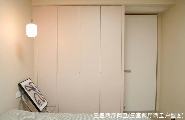 三室两厅两卫(三室两厅两卫户型图)