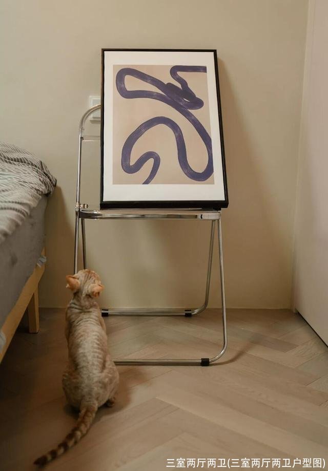 三室两厅两卫(三室两厅两卫户型图)