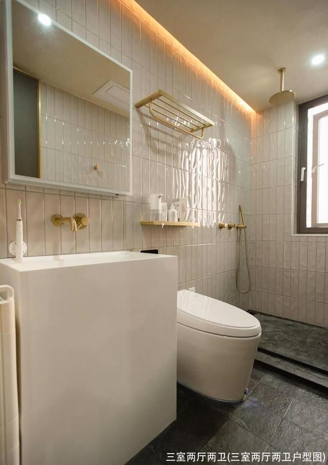 三室两厅两卫(三室两厅两卫户型图)