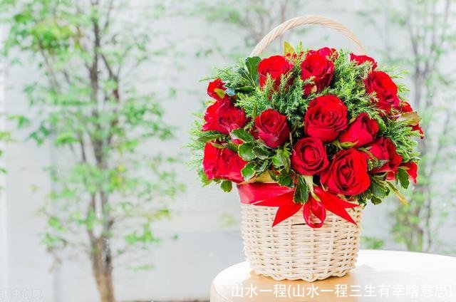 山水一程(山水一程三生有幸啥意思)