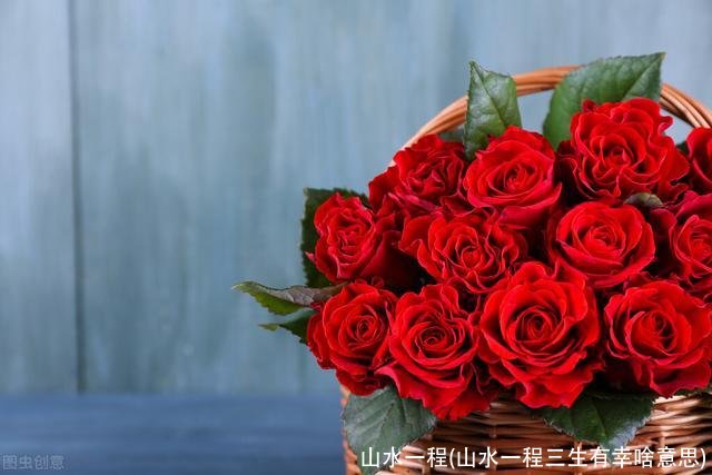 山水一程(山水一程三生有幸啥意思)