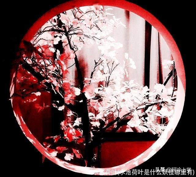 水池荷叶(水池荷叶是什么妖怪哪里有)