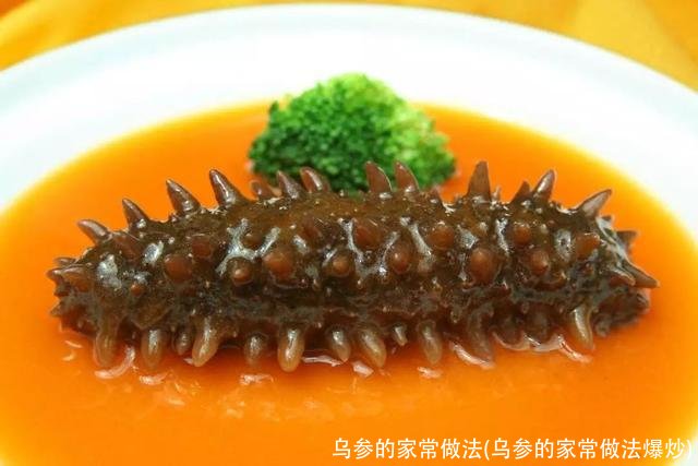 乌参的家常做法(乌参的家常做法爆炒)