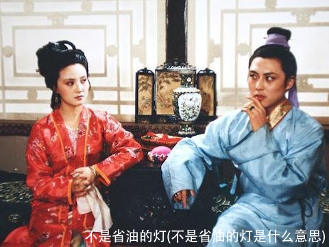 不是省油的灯(不是省油的灯是什么意思)