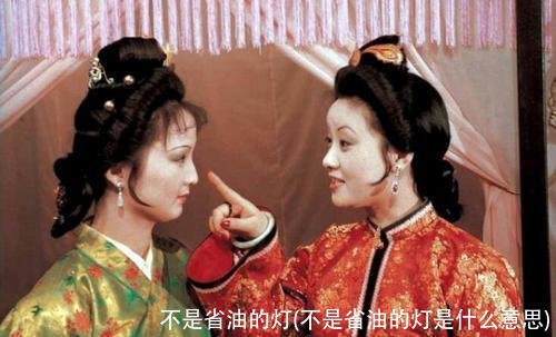 不是省油的灯(不是省油的灯是什么意思)