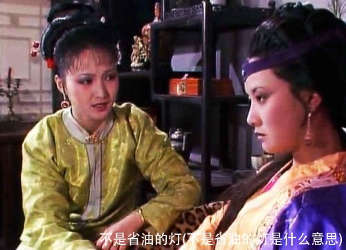 不是省油的灯(不是省油的灯是什么意思)