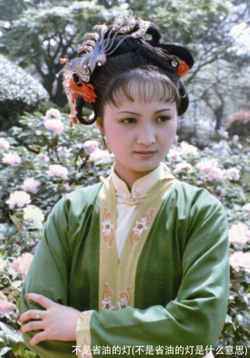 不是省油的灯(不是省油的灯是什么意思)