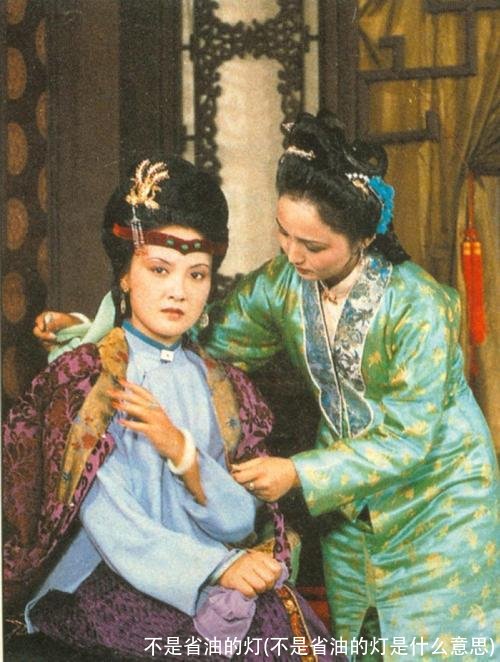 不是省油的灯(不是省油的灯是什么意思)