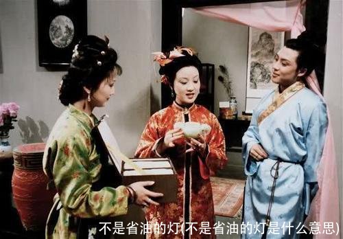 不是省油的灯(不是省油的灯是什么意思)