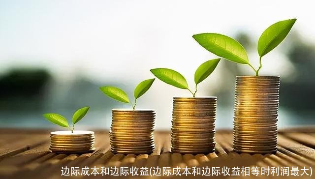 边际成本和边际收益(边际成本和边际收益相等时利润最大)