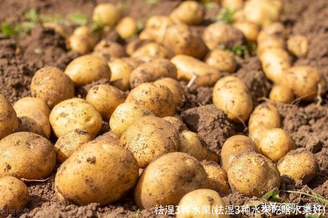 祛湿3种水果(祛湿3种水果吃啥水果好)