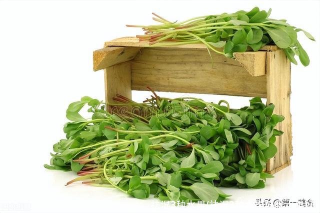 祛湿3种水果(祛湿3种水果吃啥水果好)