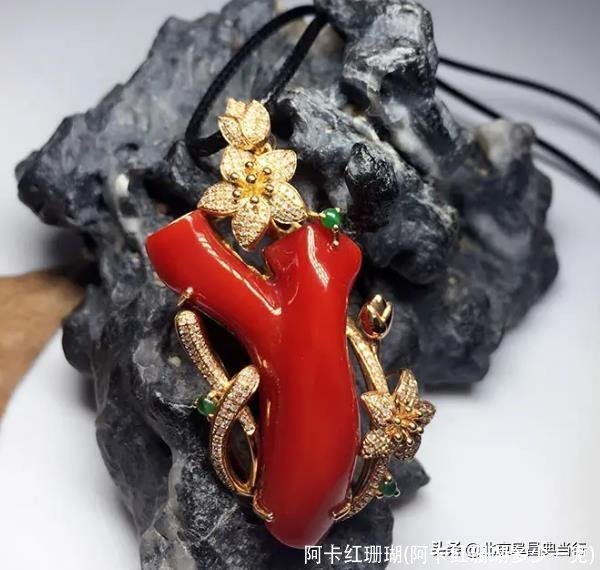 阿卡红珊瑚(阿卡红珊瑚多少一克)