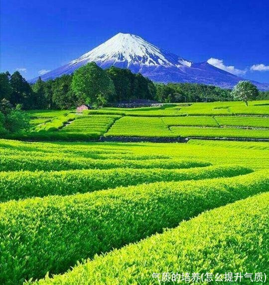 气质的培养(怎么提升气质)