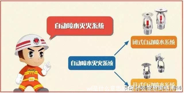 wl是什么意思(wl是什么意思网络用语)