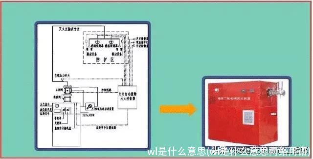wl是什么意思(wl是什么意思网络用语)