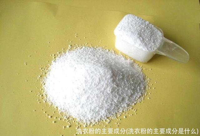 洗衣粉的主要成分(洗衣粉的主要成分是什么)