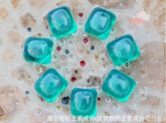 洗衣粉的主要成分(洗衣粉的主要成分是什么)