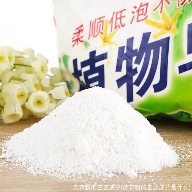 洗衣粉的主要成分(洗衣粉的主要成分是什么)