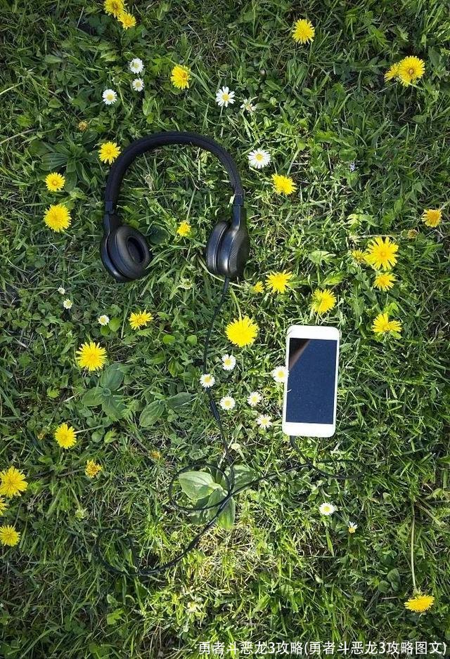 勇者斗恶龙3攻略(勇者斗恶龙3攻略图文)