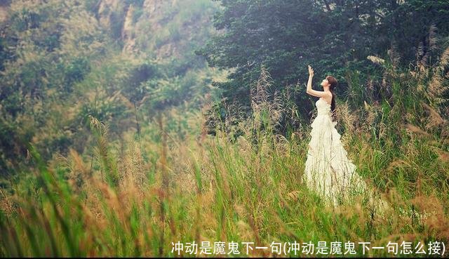 冲动是魔鬼下一句(冲动是魔鬼下一句怎么接)