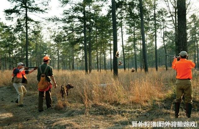 野外狩猎(野外狩猎游戏)