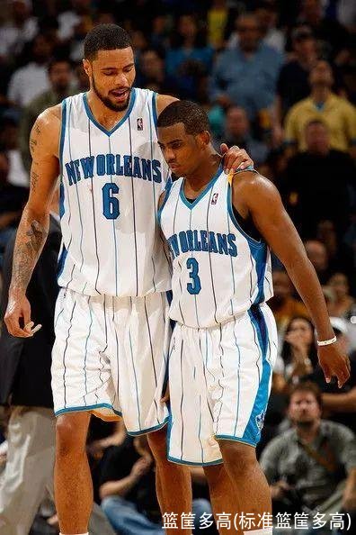 篮筐多高(标准篮筐多高)