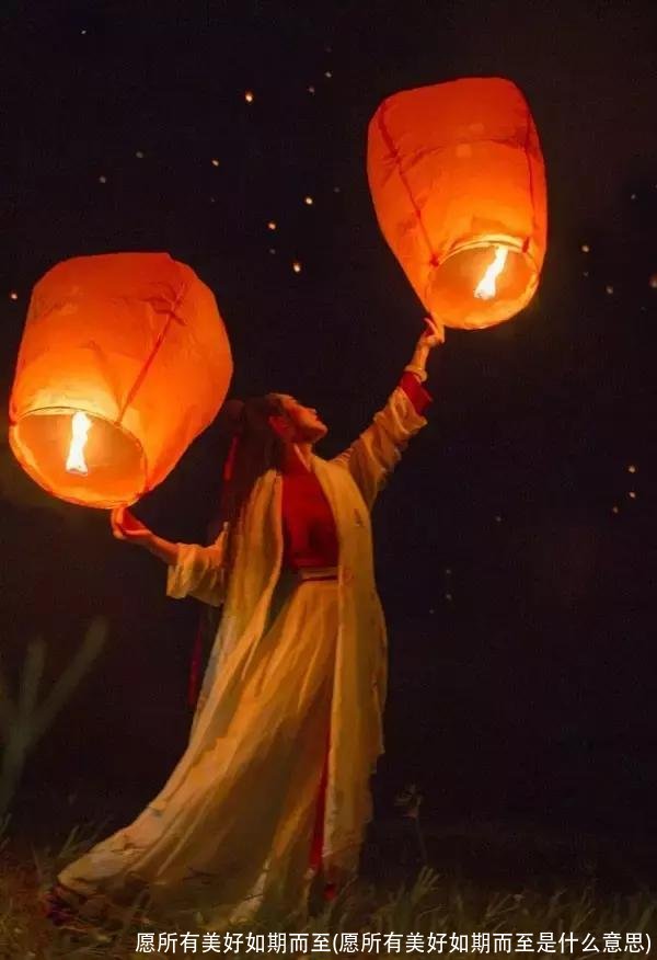 愿所有美好如期而至(愿所有美好如期而至是什么意思)
