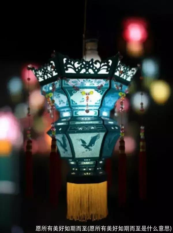 愿所有美好如期而至(愿所有美好如期而至是什么意思)