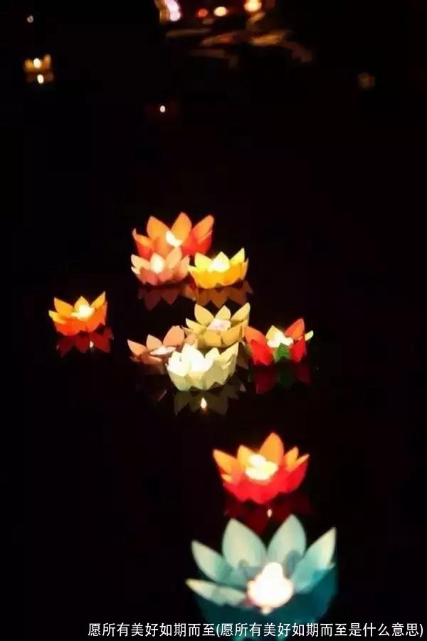 愿所有美好如期而至(愿所有美好如期而至是什么意思)