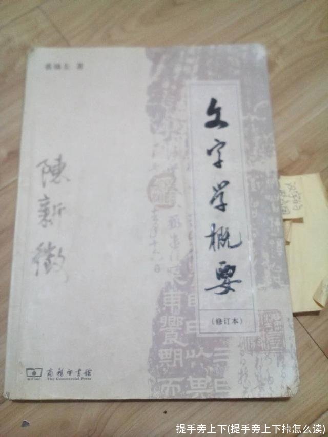 提手旁上下(提手旁上下挊怎么读)