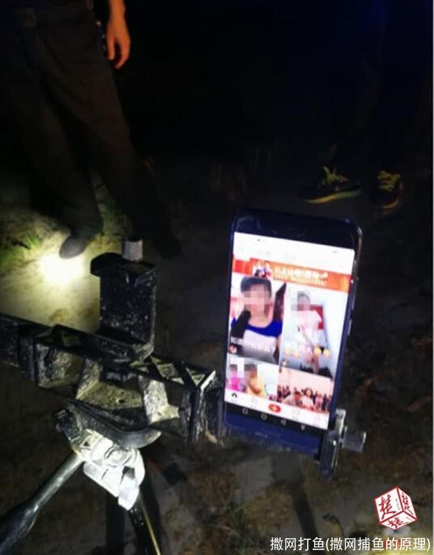 撒网打鱼(撒网捕鱼的原理)