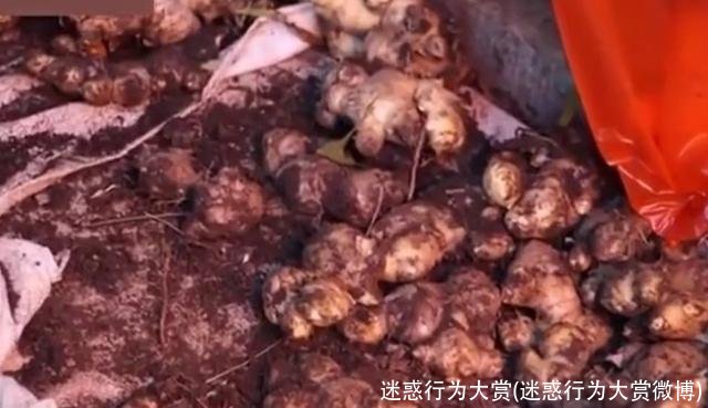 迷惑行为大赏(迷惑行为大赏微博)