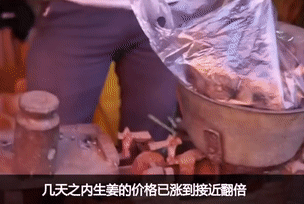 迷惑行为大赏(迷惑行为大赏微博)