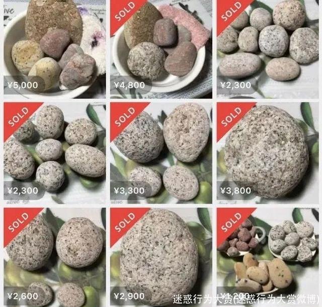 迷惑行为大赏(迷惑行为大赏微博)