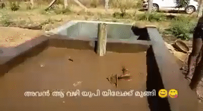 迷惑行为大赏(迷惑行为大赏微博)