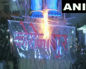 迷惑行为大赏(迷惑行为大赏微博)