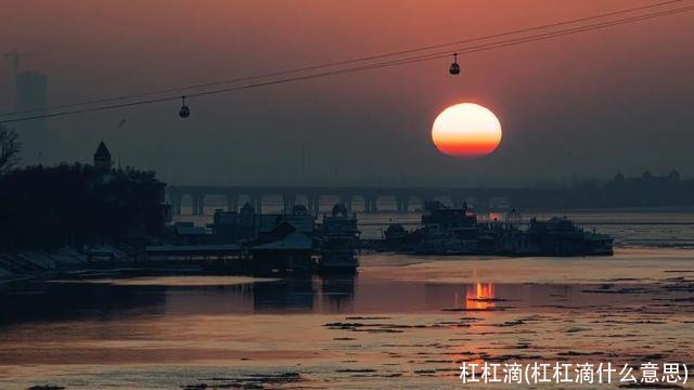 杠杠滴(杠杠滴什么意思)