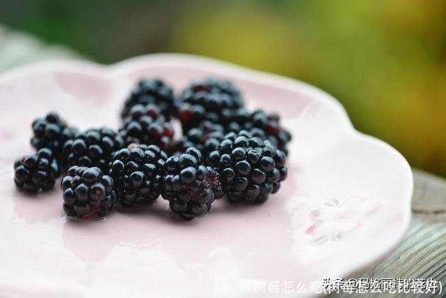 树莓怎么吃(树莓怎么吃比较好)