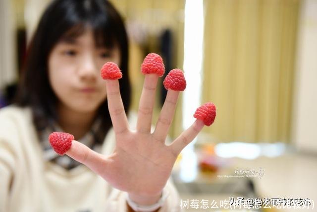 树莓怎么吃(树莓怎么吃比较好)