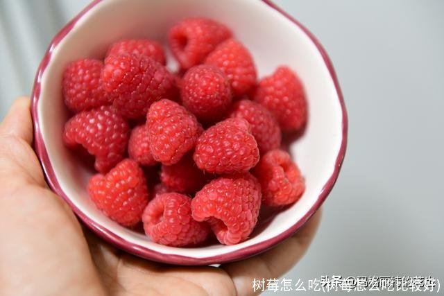树莓怎么吃(树莓怎么吃比较好)