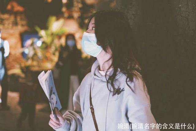 婉清(婉清名字的含义是什么)