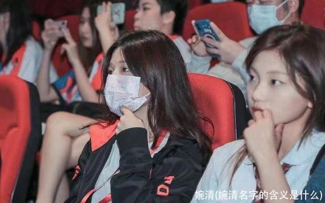 婉清(婉清名字的含义是什么)