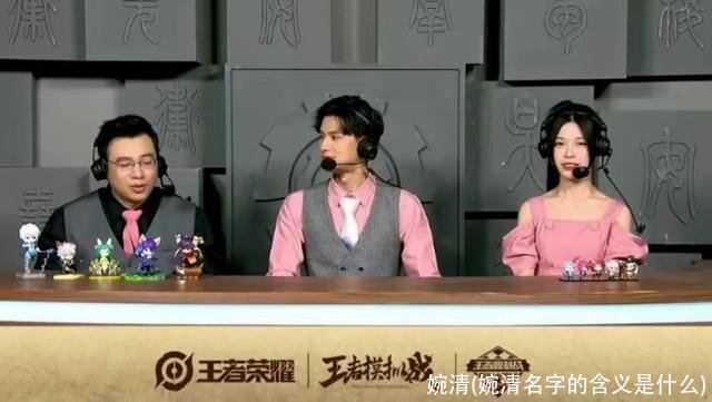 婉清(婉清名字的含义是什么)