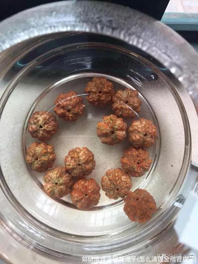 如何清理金刚菩提子(怎么清理金刚菩提子)
