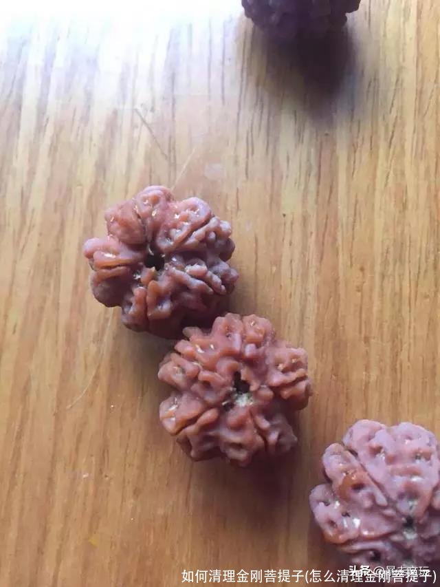 如何清理金刚菩提子(怎么清理金刚菩提子)